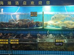水产区-望海潮海鲜店 特色家常菜(在海一方店)