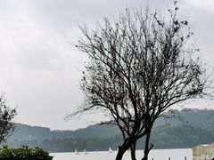 -上海月湖雕塑公园
