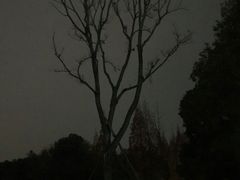 -蜀绣公园