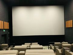 -SFC上影百联影城(八佰伴IMAX店)