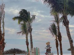 -玫瑰海岸文化旅游度假区