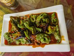 -马白开来特色羊排揪片子  (总店)