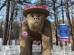 -洛阳白云山景区