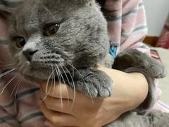 -客栈猫舍(中央北路店)