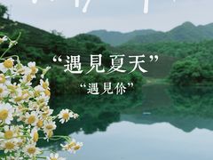 -龙坞茶村