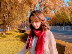 -三里屯东五街银杏大道
