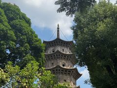 -阿强面线糊
