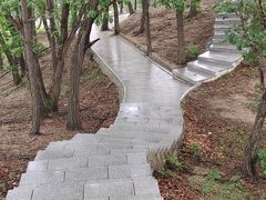 -六里坪国家森林公园