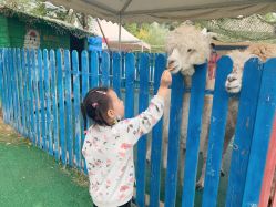 -萌宠亲子动物乐园(槐房万达店)