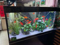 -贵州人家·酸汤火锅·20年老字号