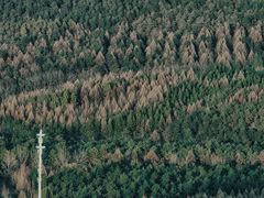 -帽儿山国家森林公园