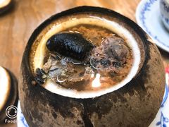 -達揚原味燉品(文明路店)