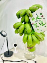 -DELAVAY黛乐薇抗衰中心