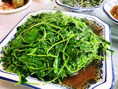 酒香草头-洞天食府(北大街店)
