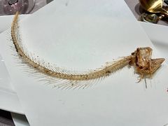 -子福慧(虹桥店)