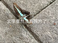 -快乐街区(重庆龙湖时代天街店)