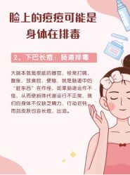 点击看大图 -玛莲朵·海菲秀冰珀科