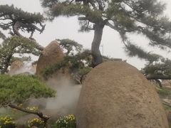 -罗红摄影艺术馆