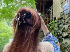 -藏龙百瀑风景区