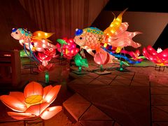 -武汉园博园(武汉自然博物馆)