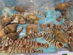 -钱山海鲜大排档