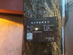 -ChitChat奇洽·Bistro(黎黄陂路店)