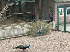 -南京金牛湖风景区