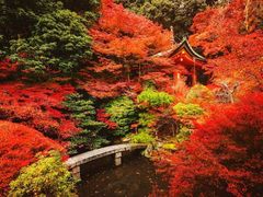 -醍醐寺