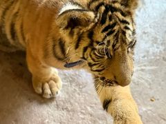 -长鹿旅游休博园