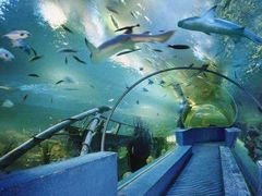 -华夏文旅海洋公园