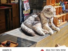 -天龙宝严素食馆(大兴善寺店)