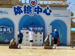 -秦皇岛乐岛海洋王国