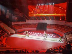 -武汉杂技厅