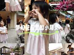 -广州白天鹅宾馆