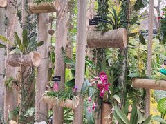 -中国科学院西双版纳热带植物园