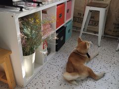 -叁秋咖啡 SANQIU COFFEE(天津河北路店)