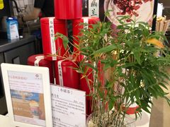 -一杯潮茶·专注潮汕茶饮(十二中创始店)