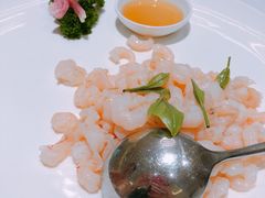 -张生记(丁香国际店)