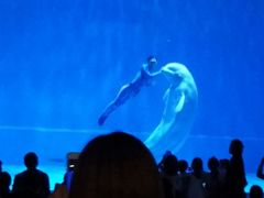 -芜湖新华联大白鲸海洋公园