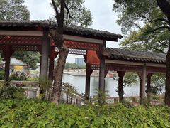 -荔湾湖公园