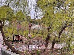 -南汇桃花村
