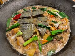 -阿鸡鱼庄·顺德鲜蒸小炒(亚运村店)