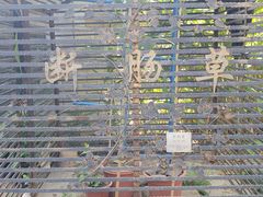 -广州神农草堂中医药博物馆