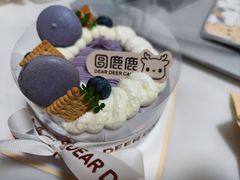 -圆鹿鹿·鲜果半糖蛋糕(常平店)