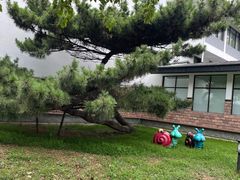 -同里湖度假村(二期店)