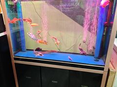 -老杨头烧烤(博烤堂店)