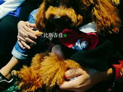 -CIAO·团建聚餐·生日派对轰趴馆(福田店)