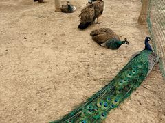 -南大港湿地风景区