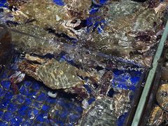 -高佳庄·舟山海鲜(海景旗舰店)