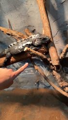 -Zoolung Zoolung动物主题公园(海信广场店)